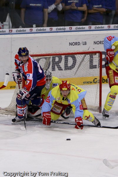 Scorpions301108  015.jpg - Hannover Scorpions
